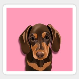 Pink Dachshund Puppy Sticker